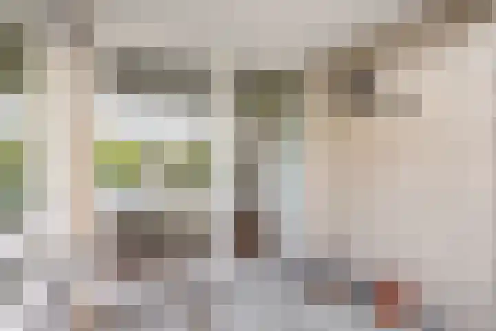 Puccinistraat 130 Capelle aan den IJssel thumbnail 21