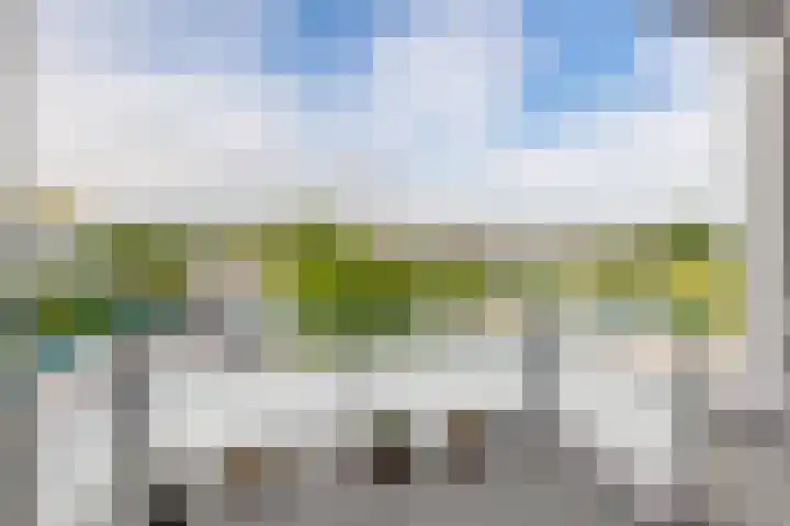 Puccinistraat 130 Capelle aan den IJssel thumbnail 22