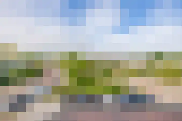 Puccinistraat 130 Capelle aan den IJssel thumbnail 23