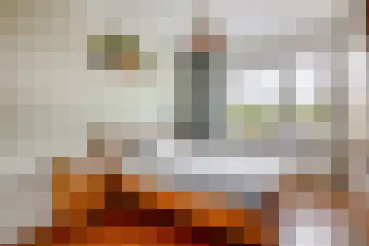 Puccinistraat 130 Capelle aan den IJssel thumbnail 4