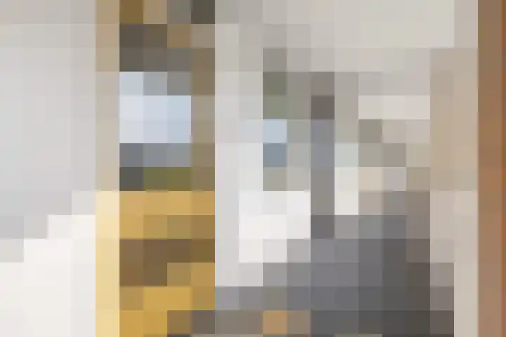 Puccinistraat 130 Capelle aan den IJssel thumbnail 8
