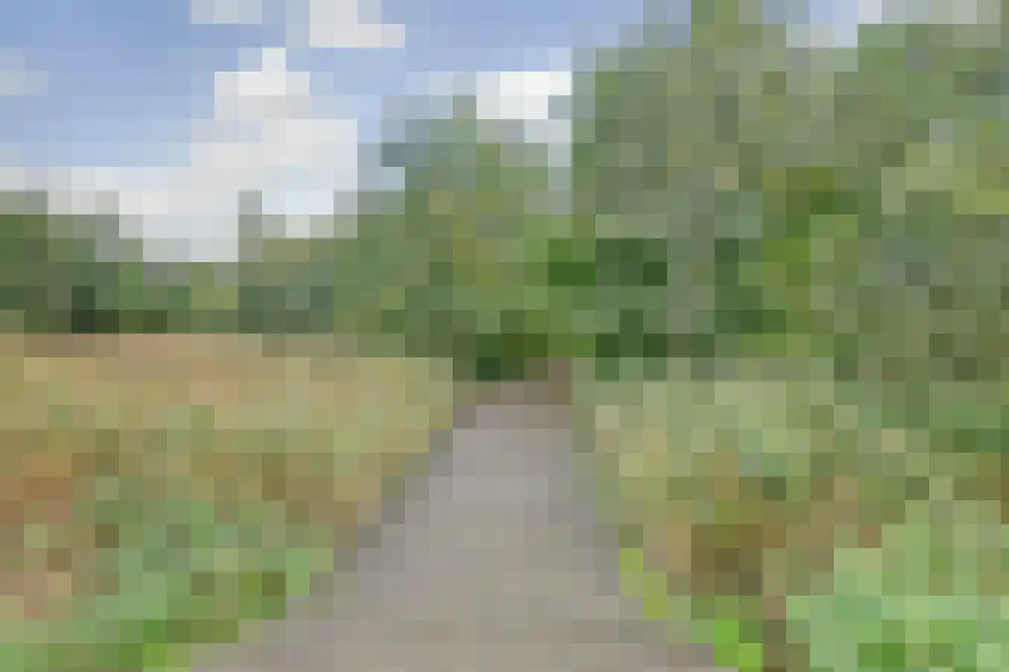 Puccinistraat 14 Amersfoort thumbnail 41