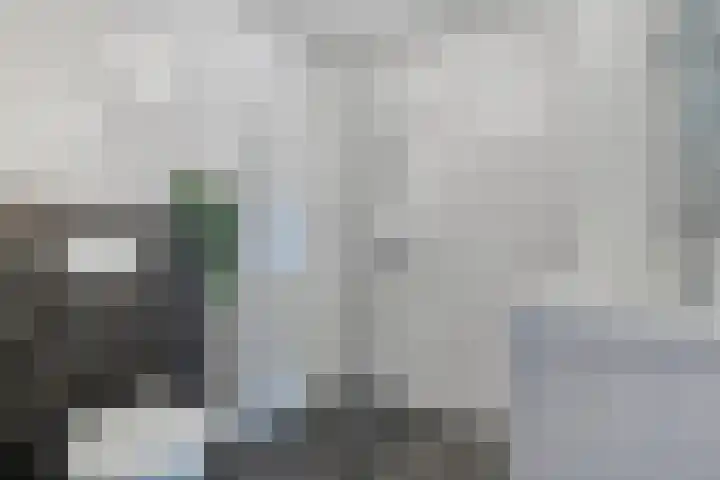 Puccinistraat 14 Zwolle thumbnail 23