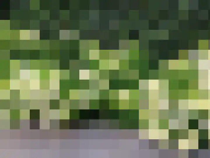 Puccinistraat 14 Zwolle thumbnail 31