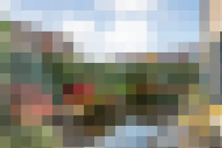 Puccinistraat 14 Zwolle thumbnail 32