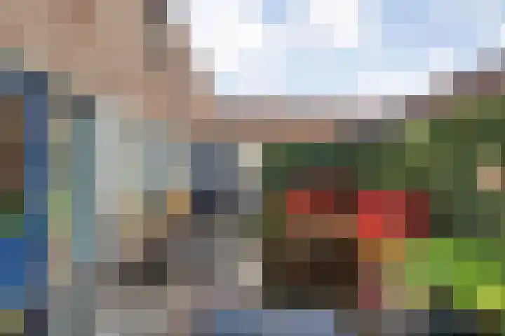 Puccinistraat 14 Zwolle thumbnail 33