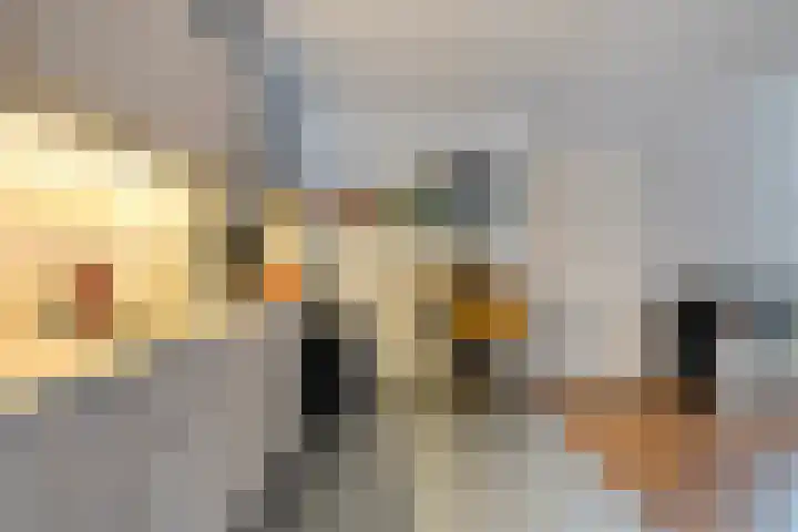 Puccinistraat 14 Zwolle thumbnail 6