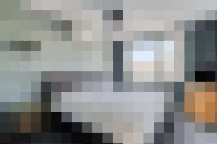 Puccinistraat 15 Barendrecht thumbnail 12