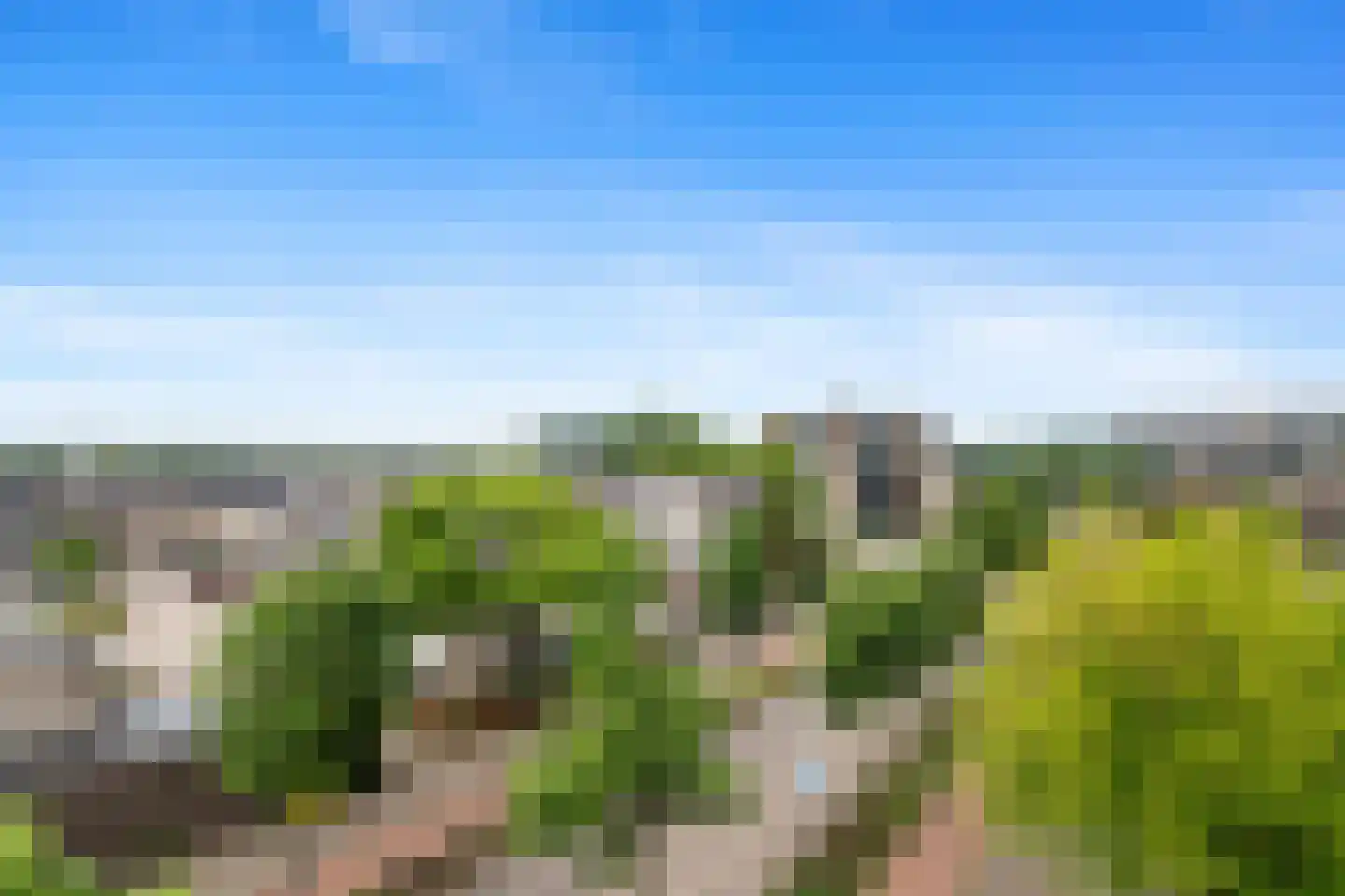 Puccinistraat 162 Capelle aan den IJssel thumbnail 19