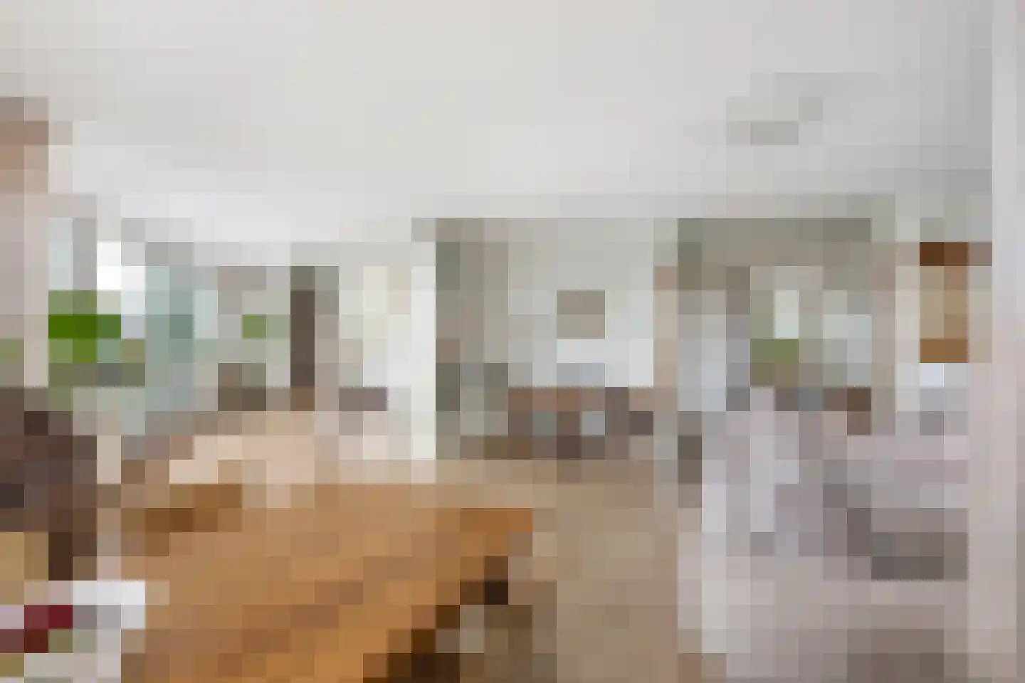 Puccinistraat 162 Capelle aan den IJssel thumbnail 4