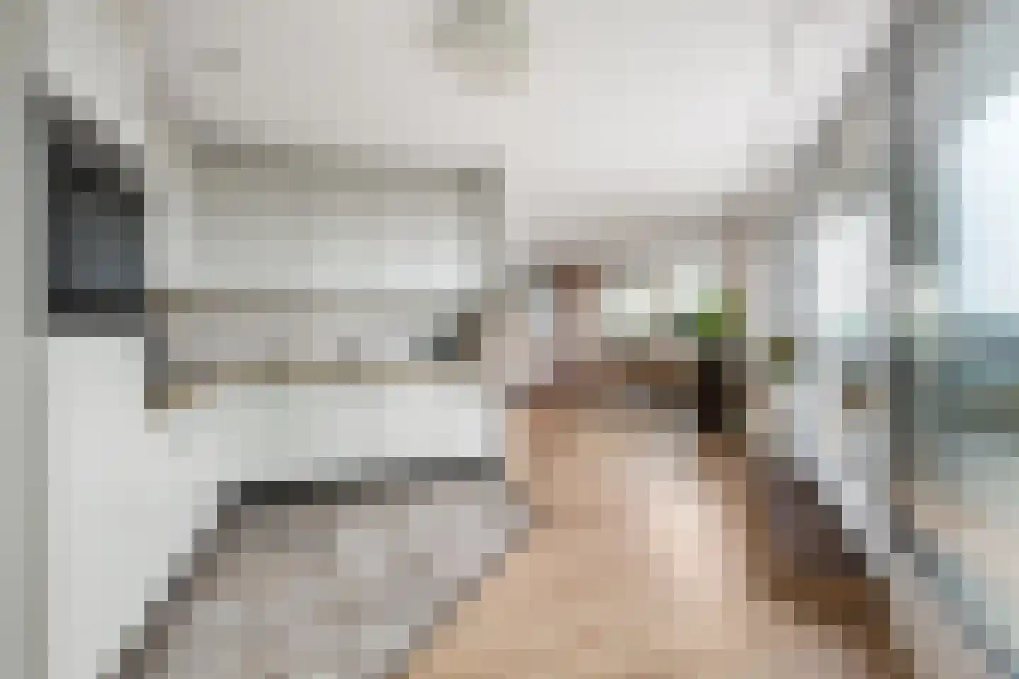 Puccinistraat 162 Capelle aan den IJssel thumbnail 9