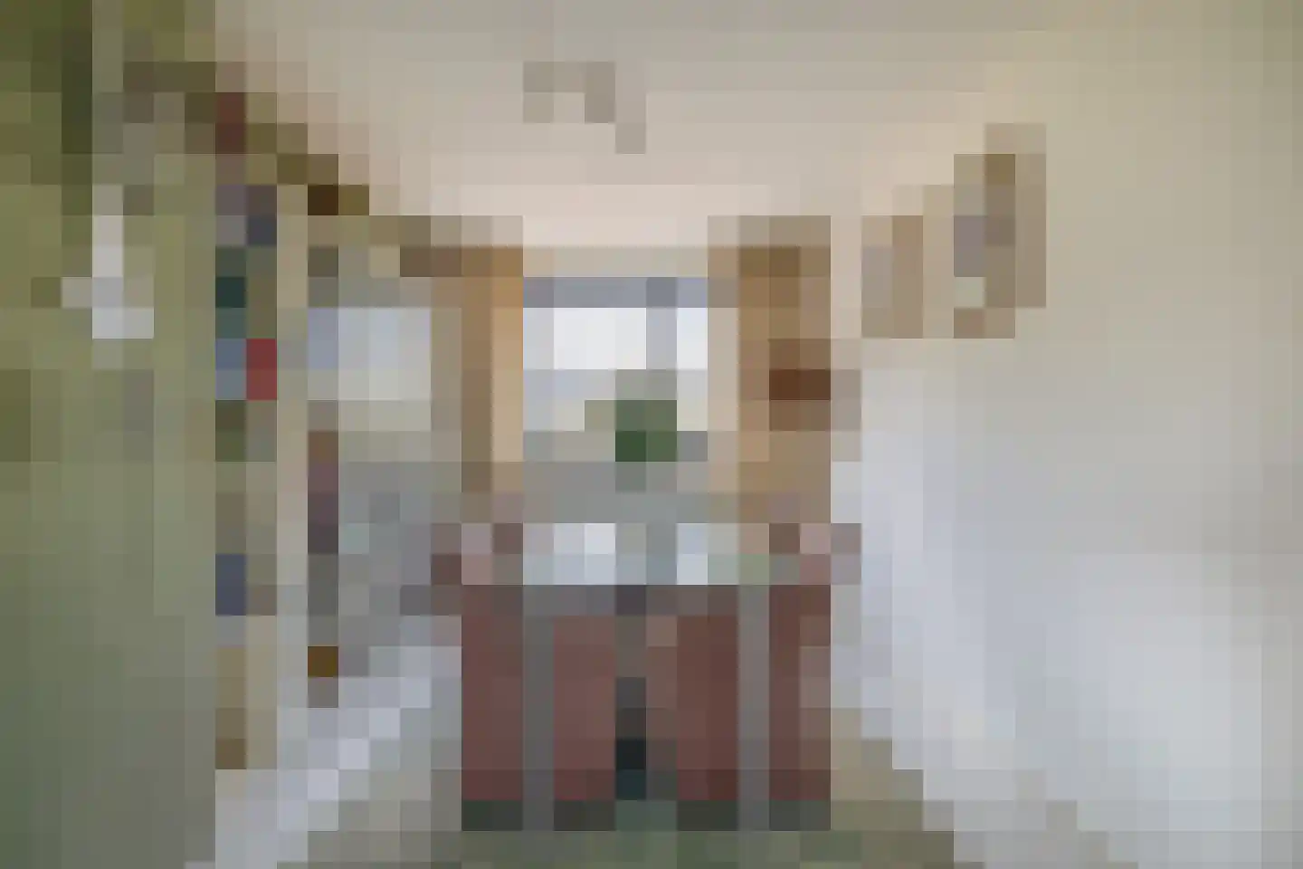 Puccinistraat 17 Capelle aan den IJssel thumbnail 24