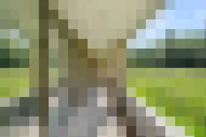 Puccinistraat 2 Amersfoort thumbnail 29