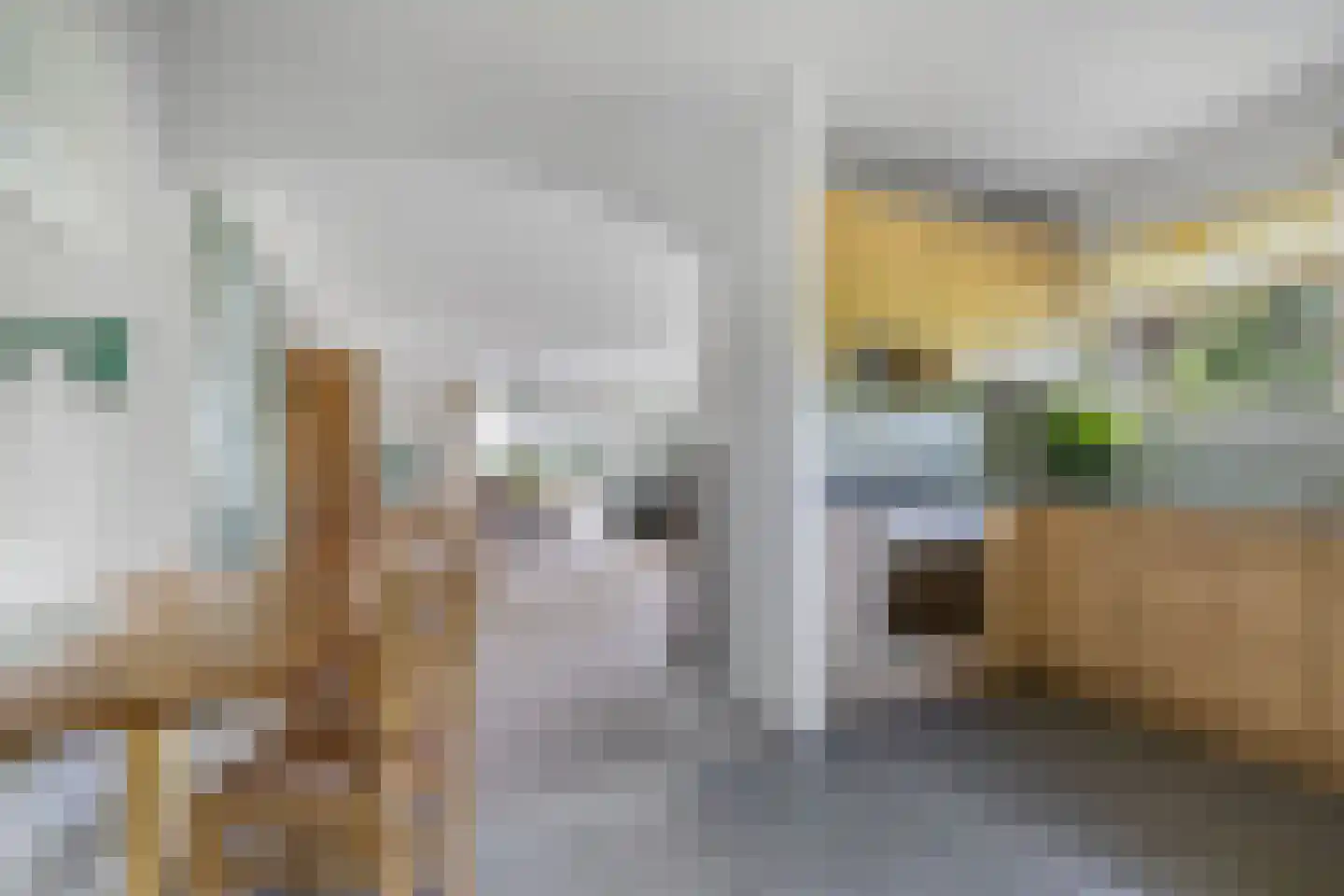 Puccinistraat 24 Wolvega thumbnail 15