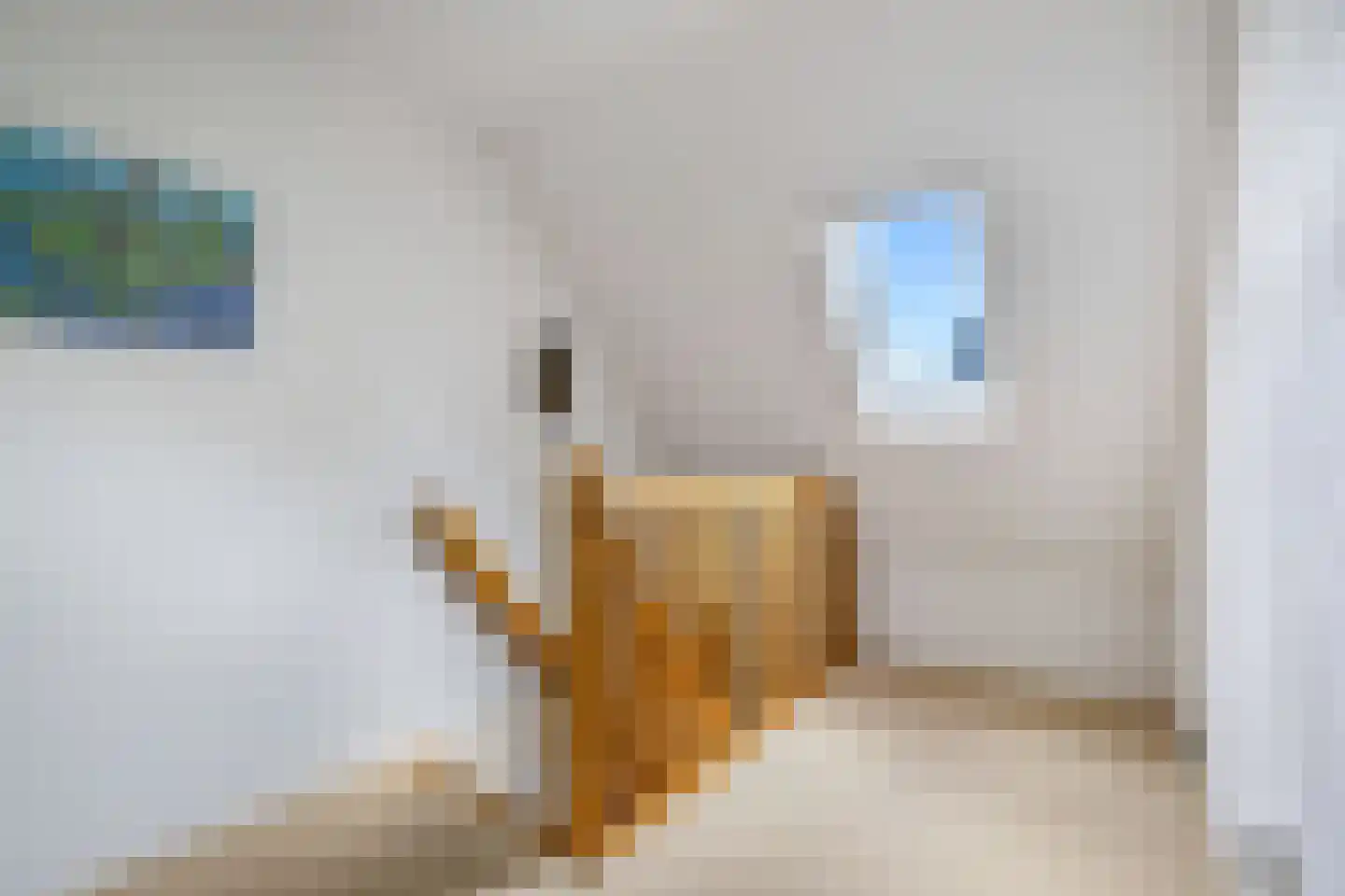 Puccinistraat 24 Wolvega thumbnail 21