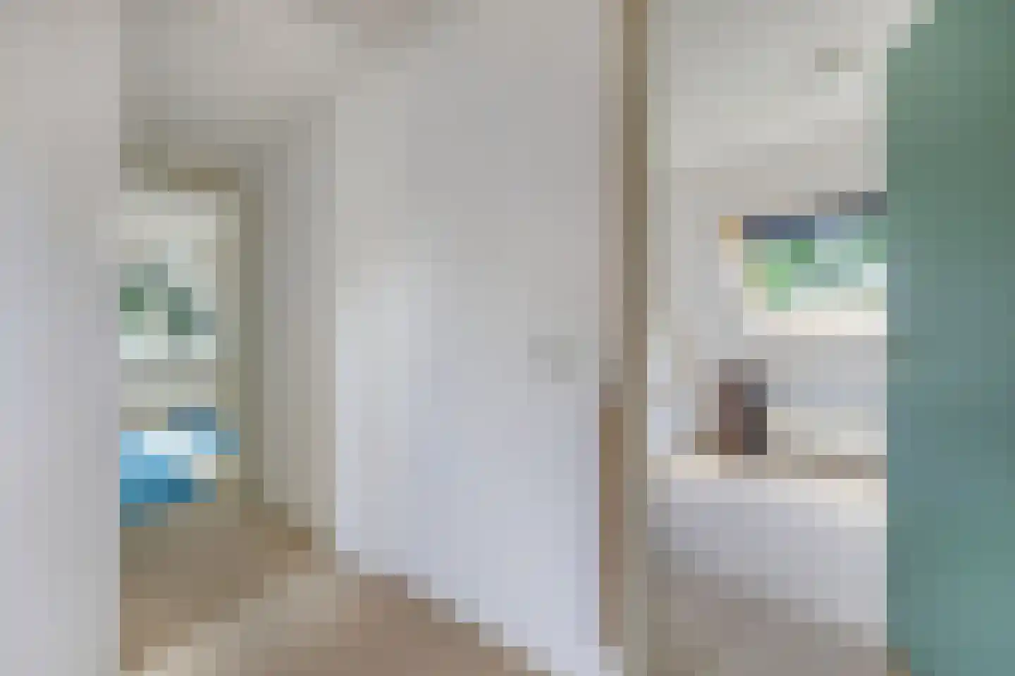 Puccinistraat 24 Wolvega thumbnail 22