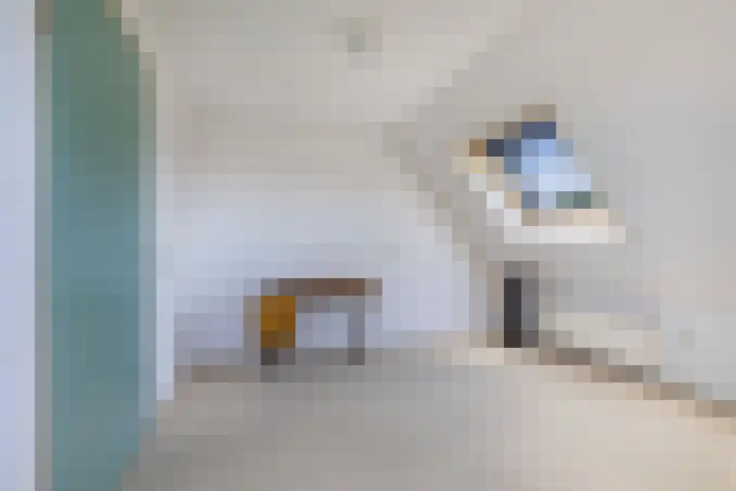Puccinistraat 24 Wolvega thumbnail 26
