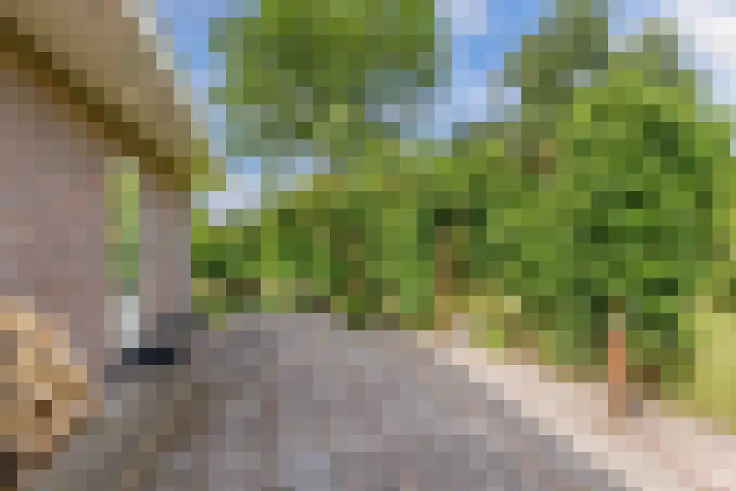 Puccinistraat 24 Wolvega thumbnail 37