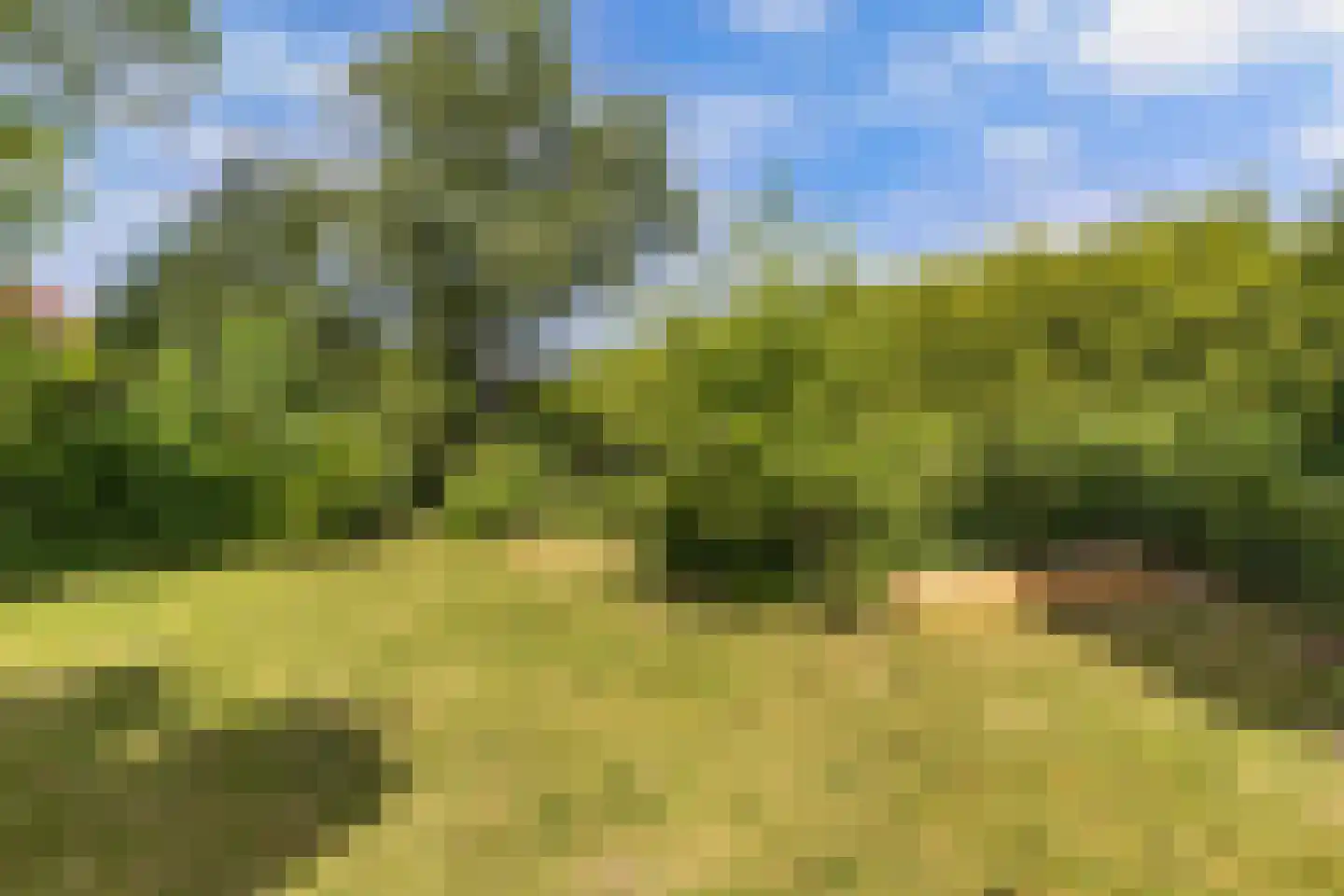 Puccinistraat 24 Wolvega thumbnail 4