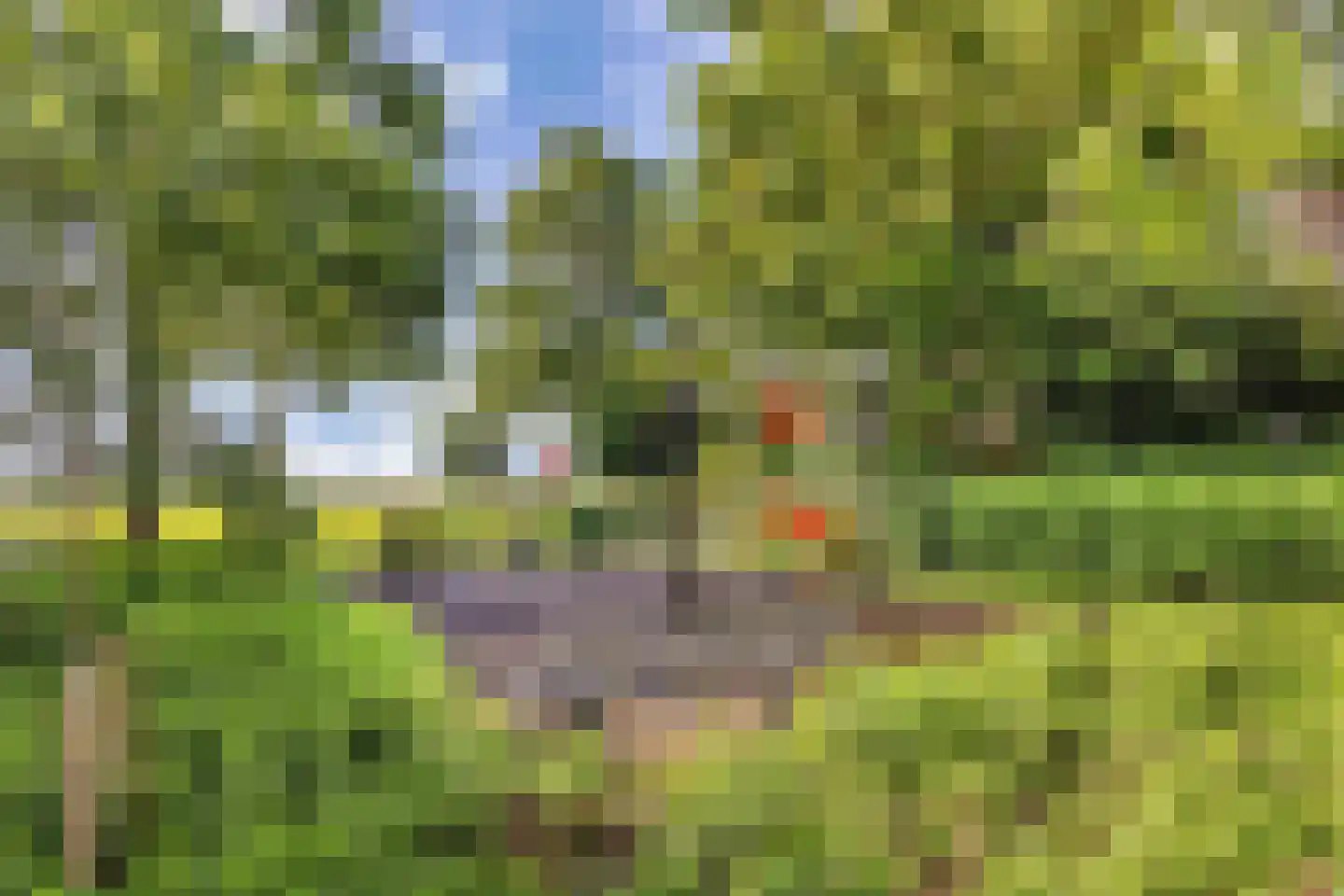 Puccinistraat 24 Wolvega thumbnail 41
