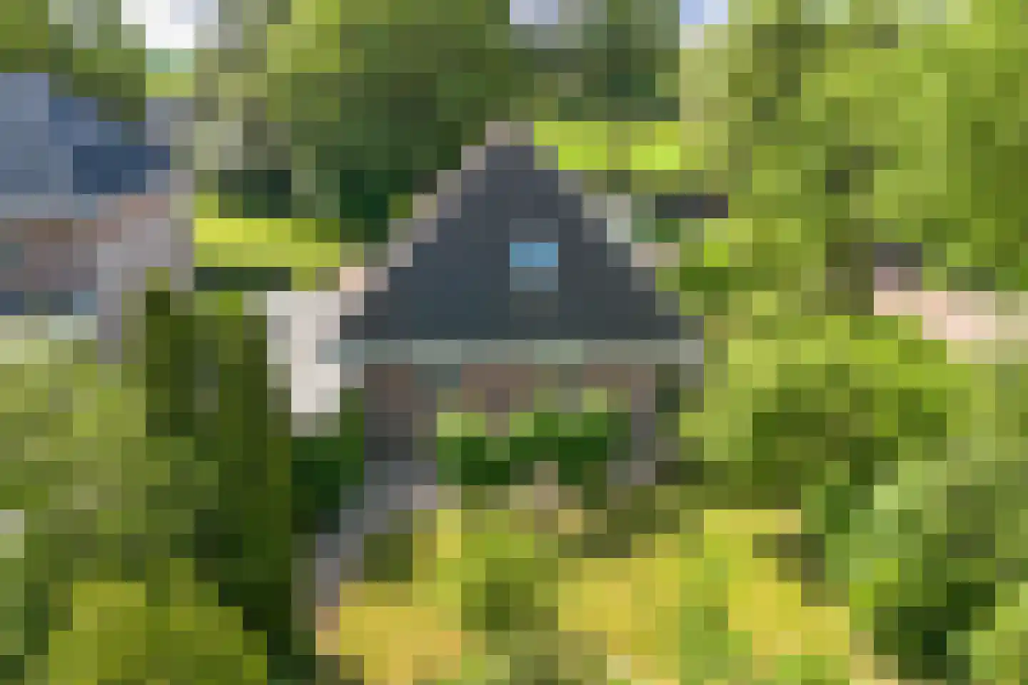 Puccinistraat 24 Wolvega thumbnail 42