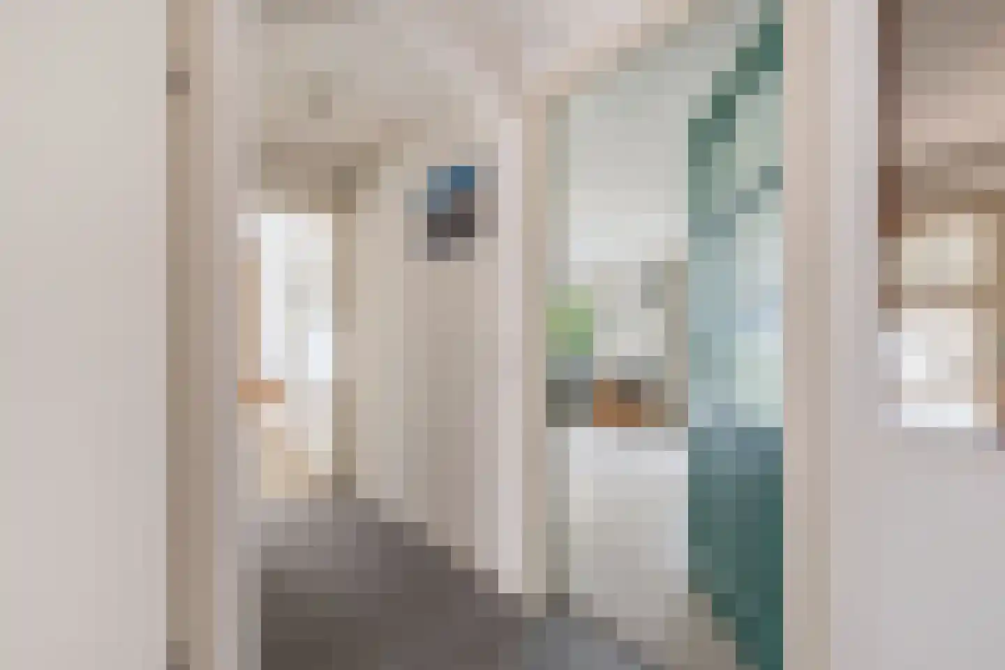 Puccinistraat 24 Wolvega thumbnail 7
