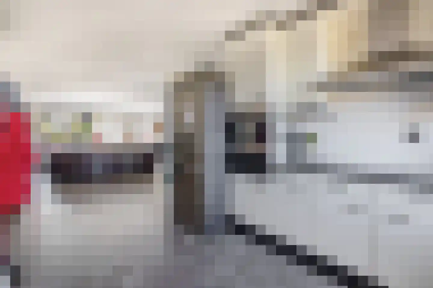 Puccinistraat 31 Capelle aan den IJssel thumbnail 15