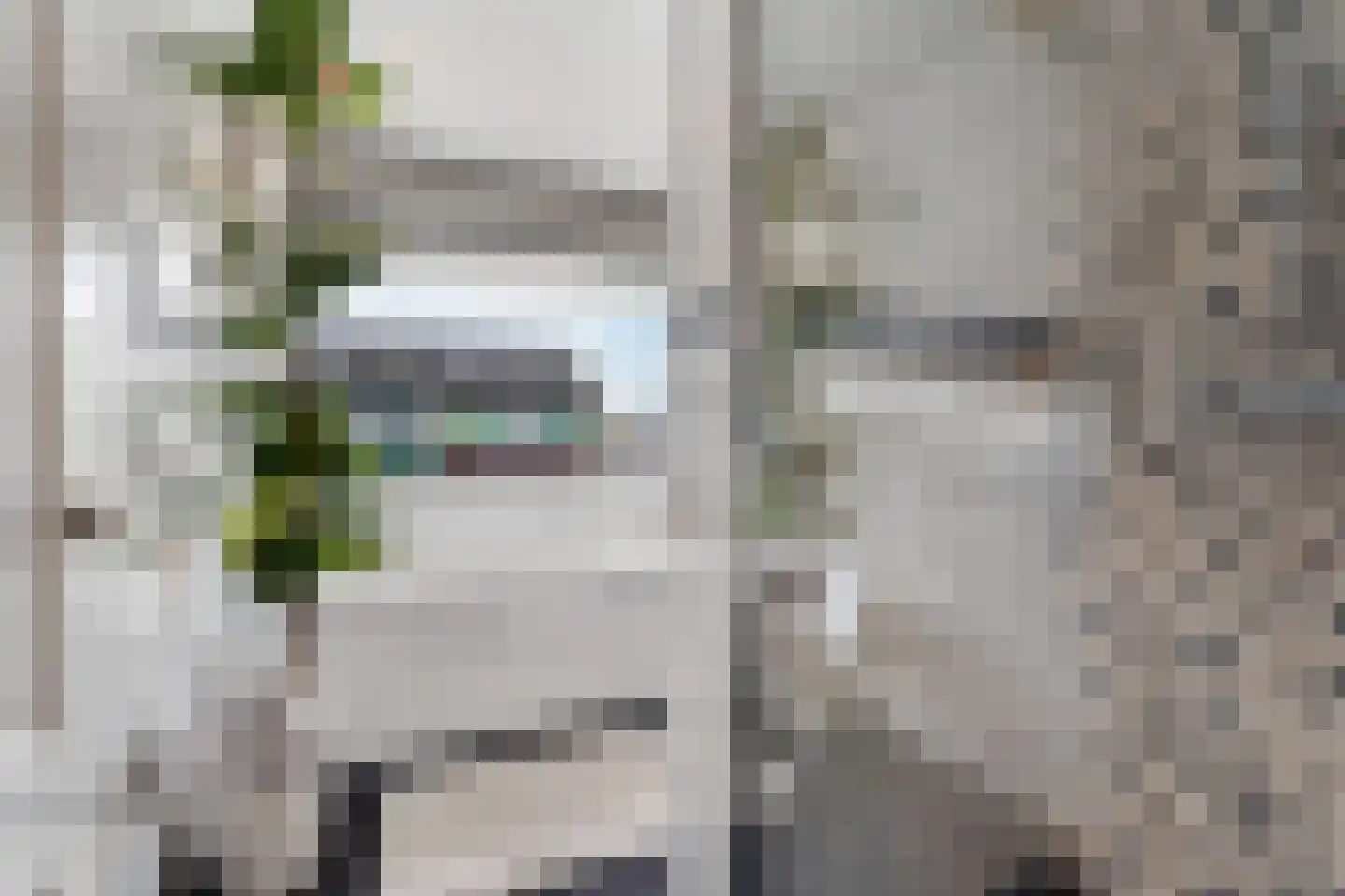 Puccinistraat 32 Zevenaar thumbnail 25