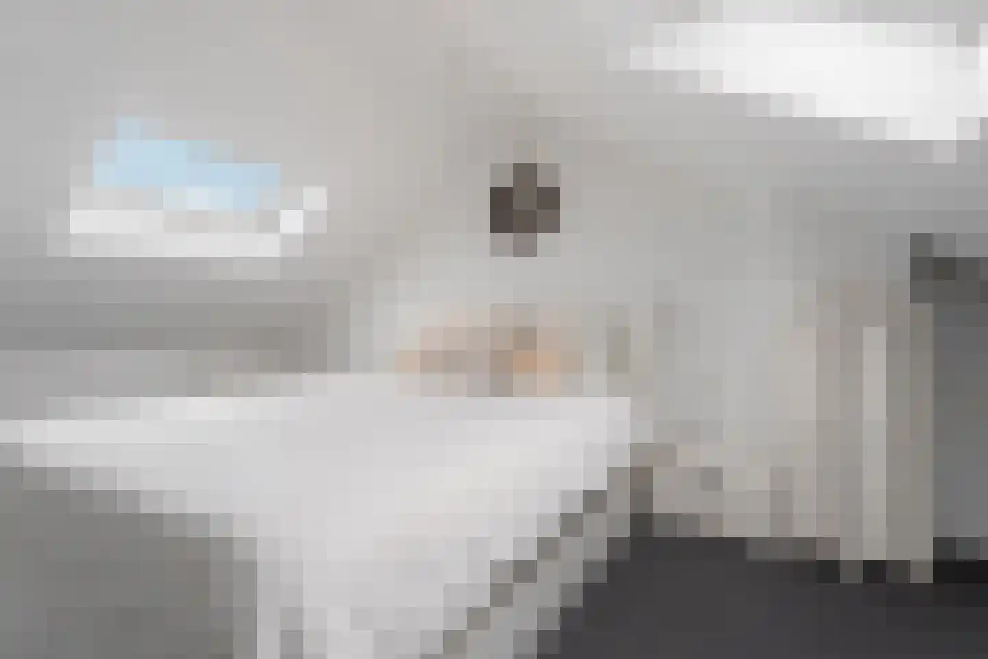 Puccinistraat 32 Zevenaar thumbnail 33