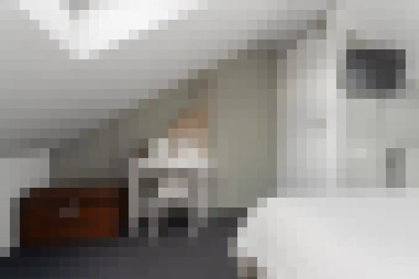 Puccinistraat 32 Zevenaar thumbnail 35