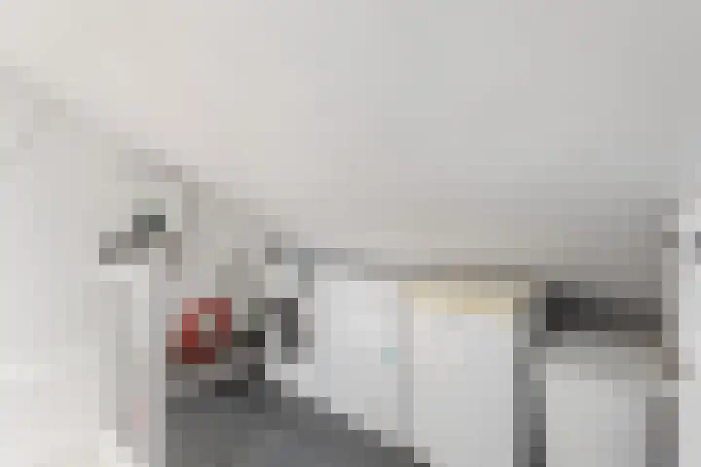 Puccinistraat 32 Zevenaar thumbnail 37