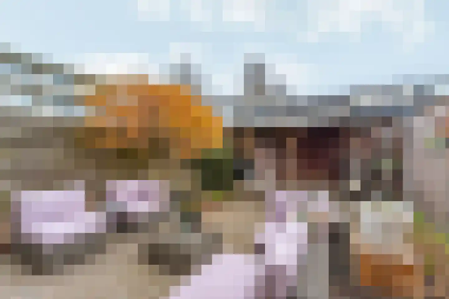 Puccinistraat 32 Zevenaar thumbnail 38