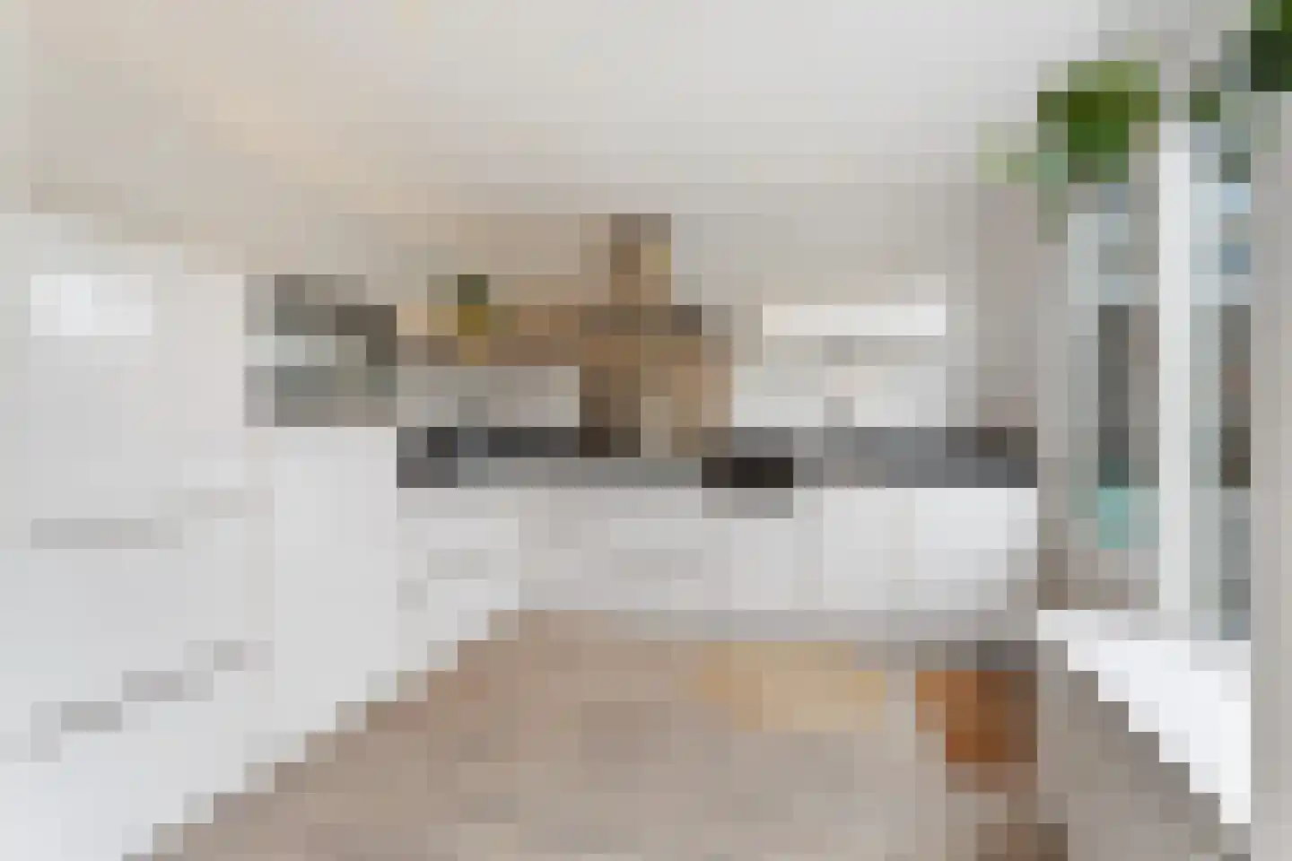 Puccinistraat 32 Zevenaar thumbnail 4