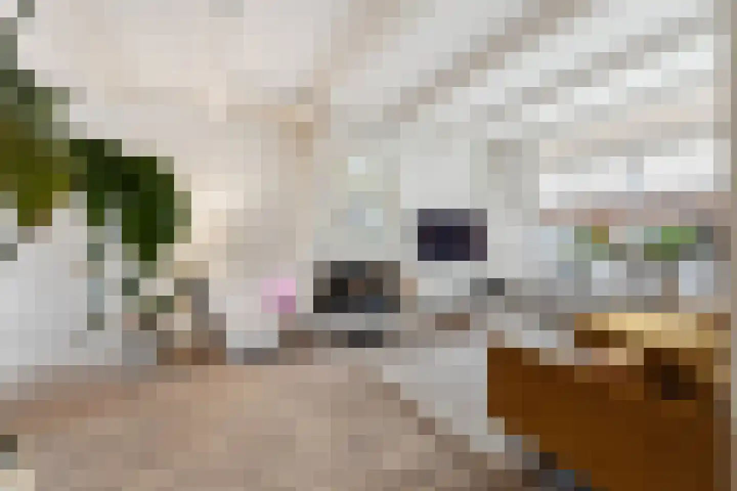 Puccinistraat 32 Zevenaar thumbnail 7