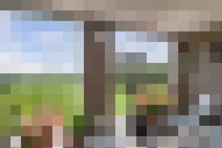 Puccinistraat 43 Wolvega thumbnail 14