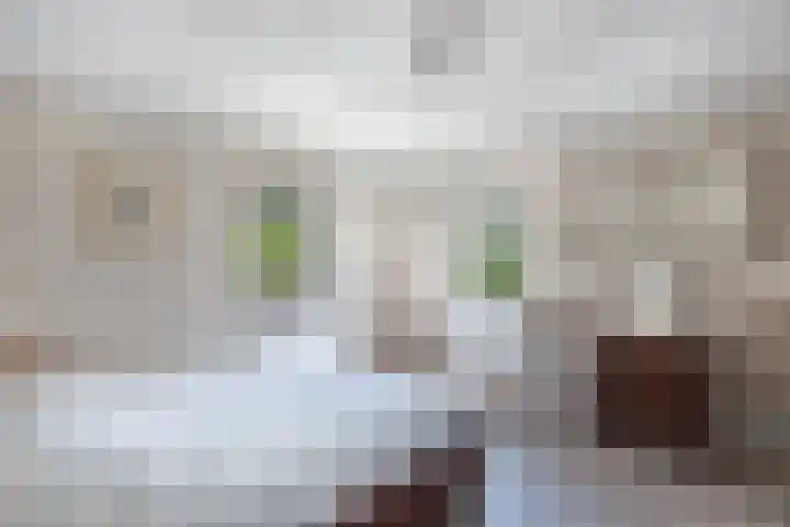 Puccinistraat 43 Wolvega thumbnail 21