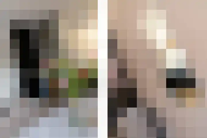 Puccinistraat 6 Sliedrecht thumbnail 12