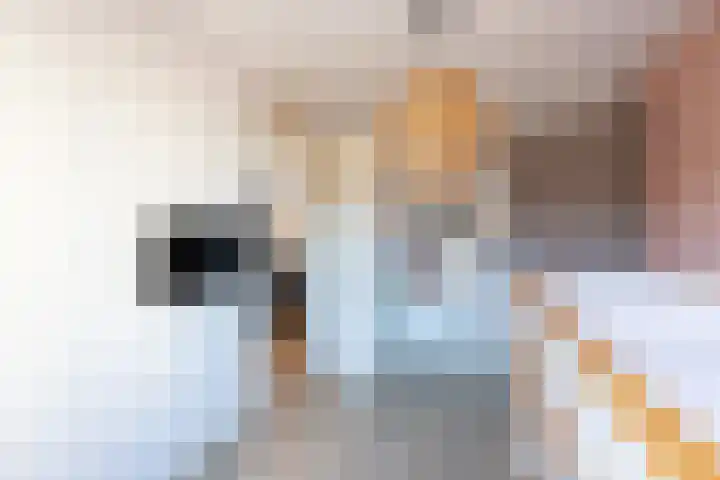 Puccinistraat 6 Sliedrecht thumbnail 17