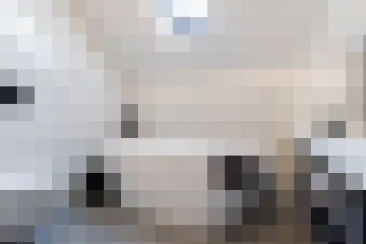 Puccinistraat 6 Sliedrecht thumbnail 19