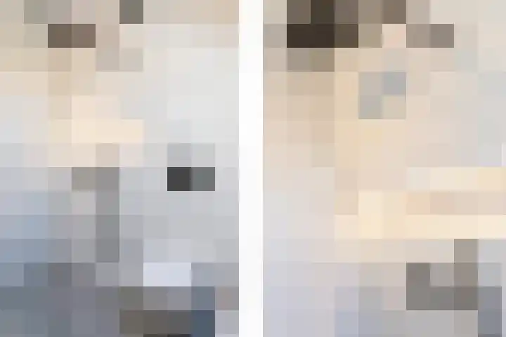 Puccinistraat 6 Sliedrecht thumbnail 20
