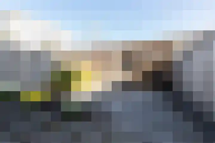 Puccinistraat 6 Sliedrecht thumbnail 28