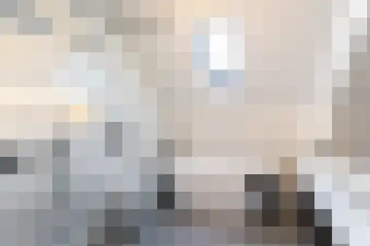 Puccinistraat 6 Sliedrecht thumbnail 4