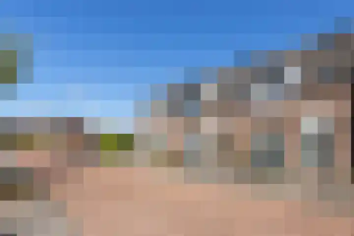 Puccinistraat 6 Sliedrecht thumbnail 5
