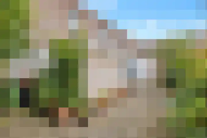 Puccinistraat 6 Zwolle thumbnail 39