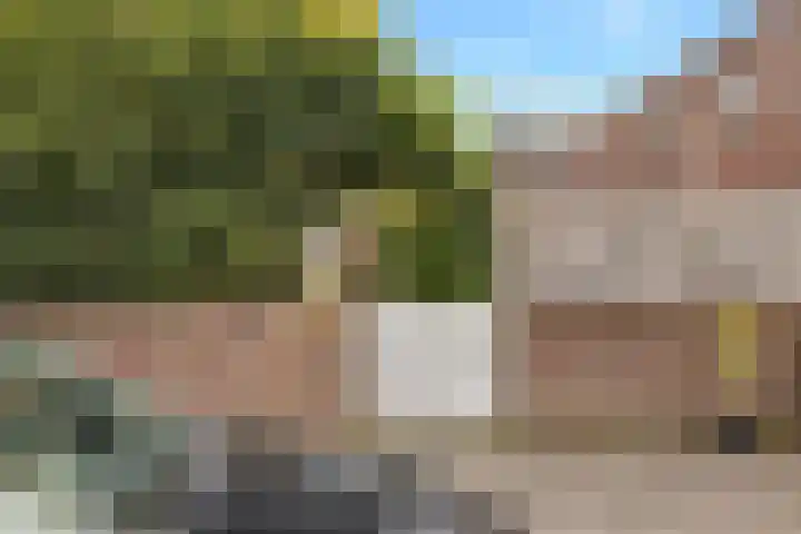 Puccinistraat 6 Zwolle thumbnail 4