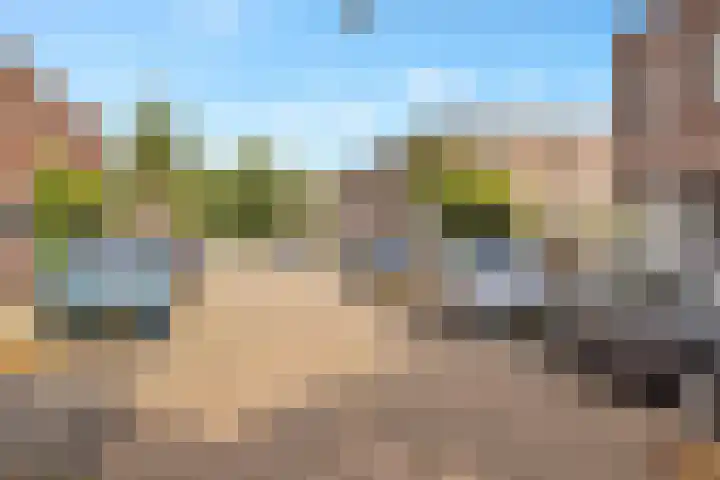 Puccinistraat 6 Zwolle thumbnail 5
