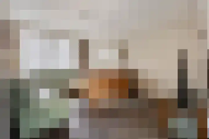 Puccinistraat 62 Boxtel thumbnail 12