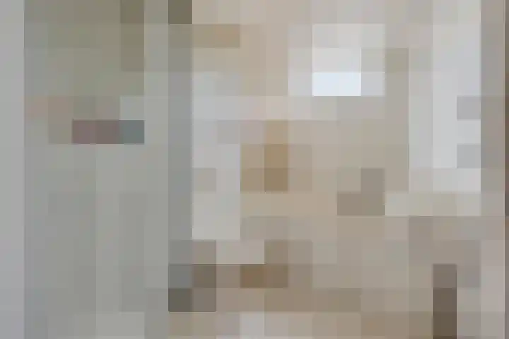 Puccinistraat 62 Boxtel thumbnail 26