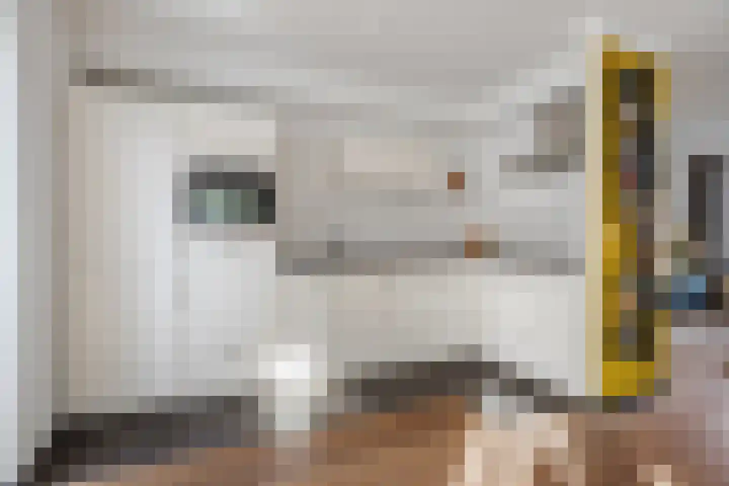 Puccinistraat 64 Boxtel thumbnail 22