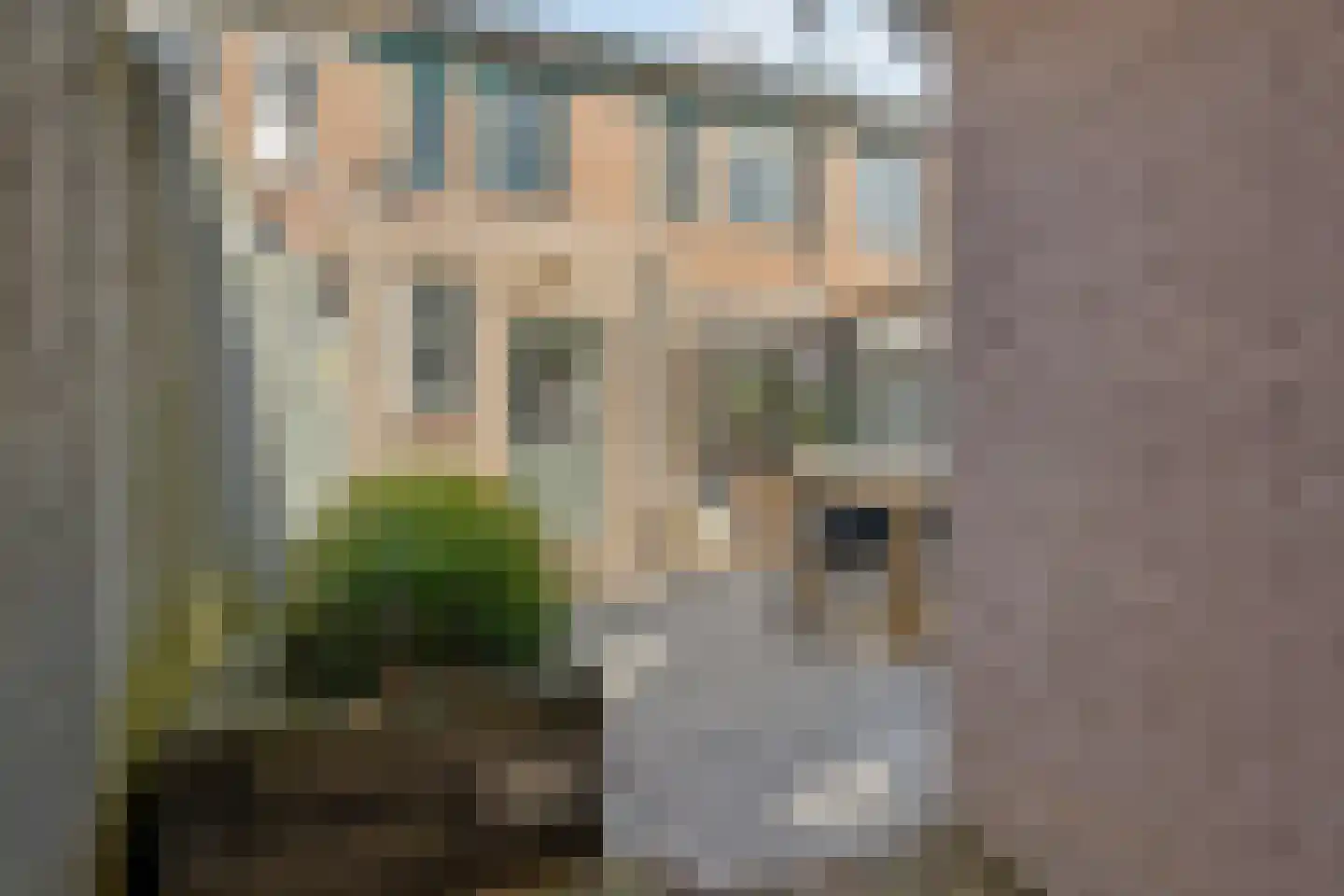Puccinistraat 64 Boxtel thumbnail 43